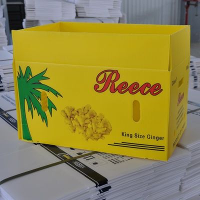 Sebze Oluklu Plastik Ambalaj Coroplast Yeniden Kullanılabilir Oluklu Kutular
