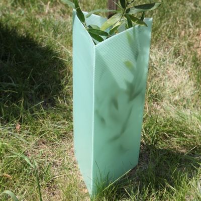 Üçgen Oluklu Plastik Ağaç Muhafızları 2mm Corflute Bitki Muhafızları