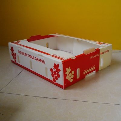 Meyve Paketleme Suya Dayanıklı Polipropilen 5mm Oluklu Kutular