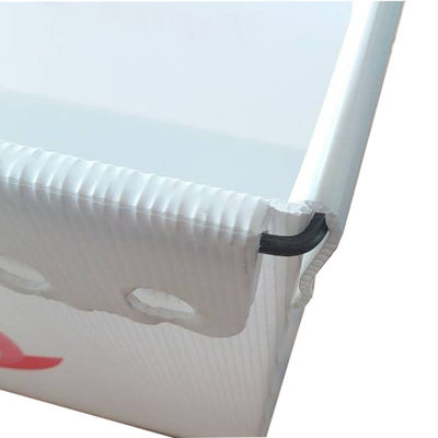 Coroplast 3mm USPS Nakliye Plastik Kılıfları Hafif Dayanıklı