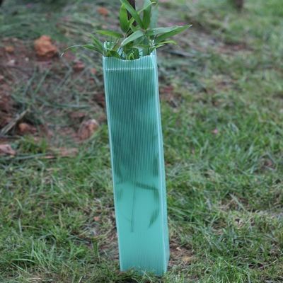 Corflute Oluklu Plastik Ağaç Sargı 2mm Sert Plastik Ağaç Muhafızları