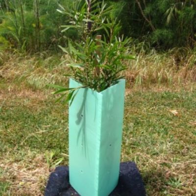 Corflute Oluklu Plastik Ağaç Sargı 2mm Sert Plastik Ağaç Muhafızları