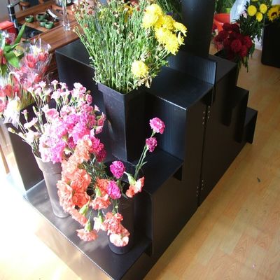 Ev Bahçe İçin Siyah 5mm Corflute Taze Çiçek Ekran Standı
