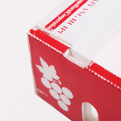 Neme Dayanıklı Sebze Ambalaj Kutusu Plastik Oluklu Katlanabilir Kutular