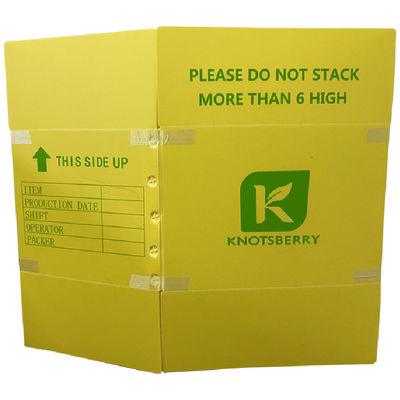 Kamu ve Ticari Amaçlar İçin Tasarlanmış, Atık Yönetim Sistemlerinde Performans Sağlayan Oluklu Plastik Ambalaj Kutusu