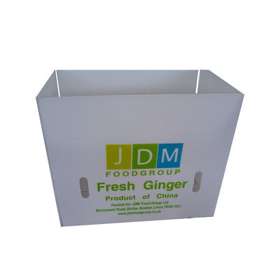 Food safe Fruit Packaging Box made from polypropylene material offering waterproof and anti impact features for fruit shipping solutions