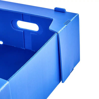 Meyve Depolama Taşımacılığı Oluklu Plastik Kutu Polipropilen Meyve Paketleme Kutusu