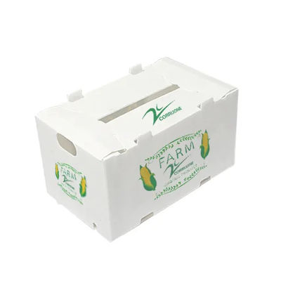 PP Corrugated Plastic Box Ideal for High-Moisture Fruits and Extreme Temperature Changes