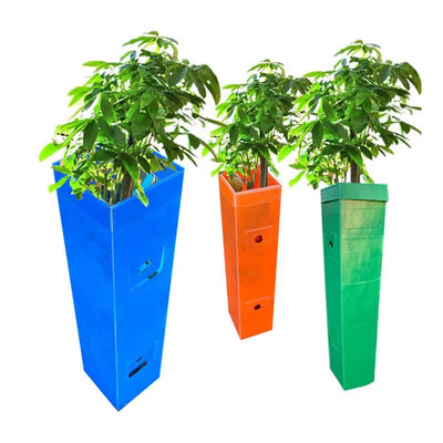 Polypropylene Corflute Ağaç Koruyucu Dalgalanmış Plastik Asma Koruyucu