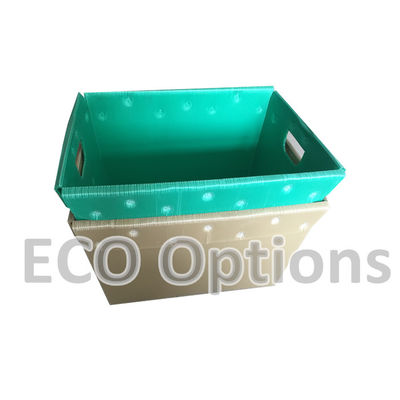 Geri dönüştürme PP Gömülü Plastik Kutusu Koroplast Paket Kutusu Özel Katlanabilir ECO