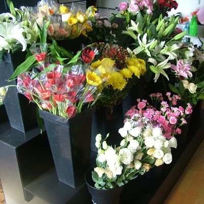 Effortlessly Showcase Your Floral Arrangements with the Polypropylene Floral Display Stand Easy to Clean and Maintain
