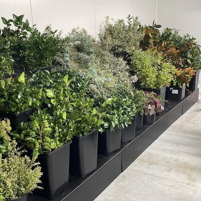 Lightweight & Durable PP Display Stand Made from Corrugated Polypropylene Board, Strong Structure, Easy Assembly, Ideal for Retail Promotion and Product Presentation