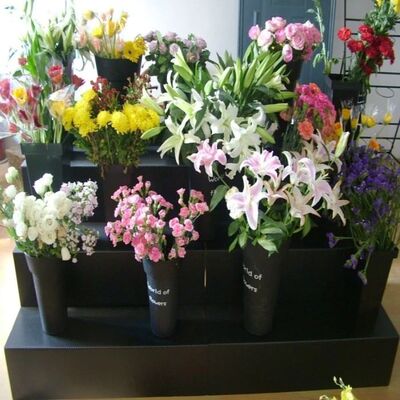 Flower Shop Display Stand Foldable Multi Layer PP Plastic Plant Rack 10mm Thick Waterproof Lightweight Durable Retail Floral Display Shelf for Garden Center Nursery Shop Use Custom Size Manufacturer