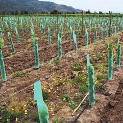PP Tree Guard hafif, dayanıklı, su geçirmez ve kurulumu kolaydır.